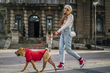 Woman walking her dog in the city