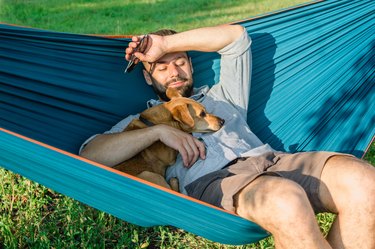 Young attractive European man is dozing in hammock with his cute little dog. Sunny weekend in summer park.
