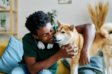 Young man on sofa in apartment living room sharing time with dog he just adopted from a shelter.