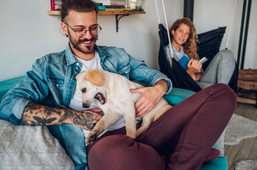 Man petting his adopted dog while sitting on the couch at home