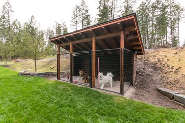 A large outdoor dog kennel with a sloped roof and tall fencing sits on the edge of a grassy area. Two dogs can be seen inside the kennel.