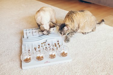Mental challenges game for cats, can also be used for daily feeding with dry food.
