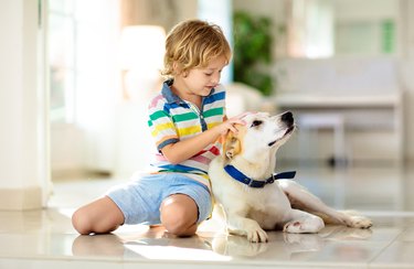 Child playing with dog. Kids play with puppy.