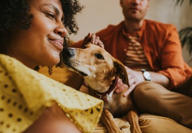 A woman enjoys a nuzzle with a friendly dog