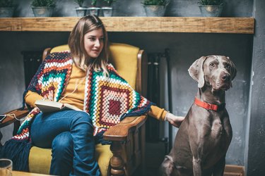 Weimaraner dog and woman in pet friendly cafe