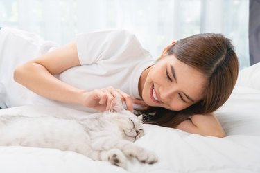 Young woman lying on bed and playing small Scottish kitten on the room.