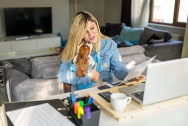 Adult Woman's Online Meeting Interrupts by Her Dog