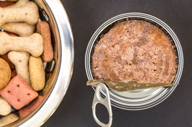 Top view of an opened can of dog food and Dried pet food in bowl