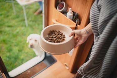 Close up of dog bowl with dog food