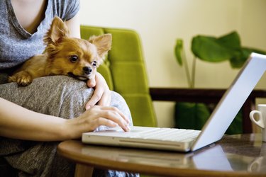 woman and dog in the room