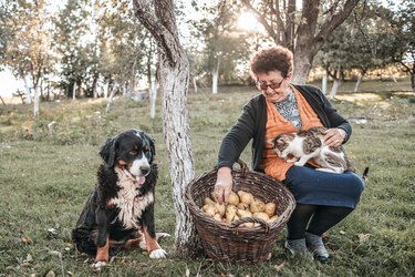 Senior woman and her pets