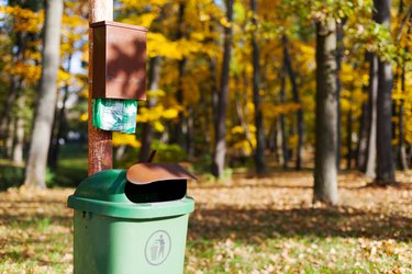 Recycle bin and plastic (HDPE) bags, autumn