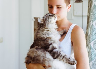 Moment joy, tenderness and love of teenager girl with domestic cat