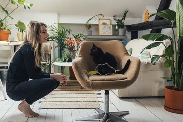 A Side View Of A Beautiful Blonde Woman Smiling While Looking At Her Cute Black Cat Sitting In Her Office Chair At Home