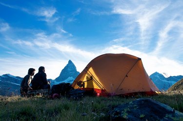 Border Collie Camping