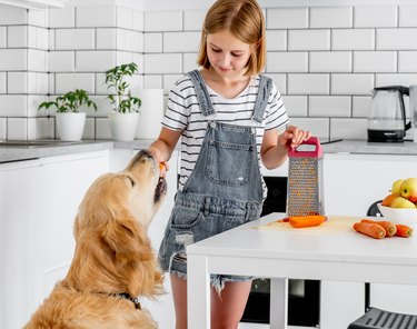 Girl feeding a dog a carrot in the kitchen