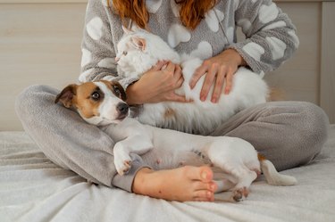 Woman Sitting Cross-Legged With a dog and cat At Home