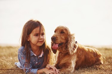 Warm and quiet. Cute little girl have a walk with her dog outdoors at sunny day