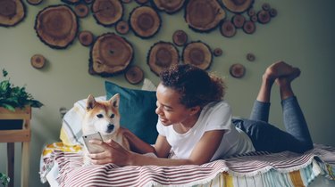 Young Black girl is using smartphone lying on bed and smiling stroking her cute dog