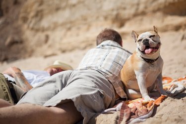 Men relaxing with dog on beach