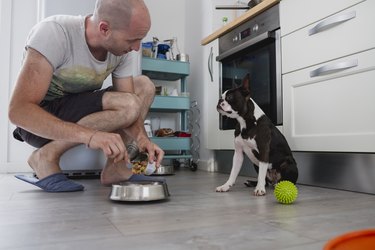 Man feeding his dog