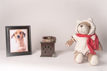 urn with a puppy print, on it, a colorful leash, next to it a photograph of the puppy and a teddy bear. White background
