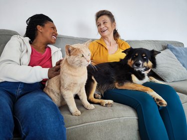 Two women on couch with a cat and dog.