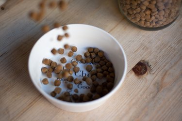 High Angle View Of Dog Food In Bowl On Table