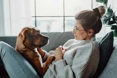 how to train dog to guard home