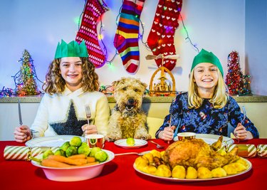 Christmas Dinner Foods That Are Safe to Share With Your Cat or Dog ...