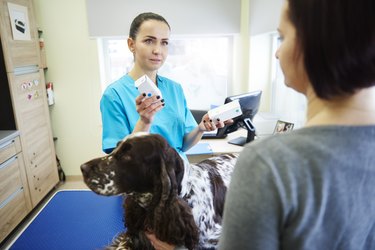 Female veterinarian giving medication to a dog owner.
