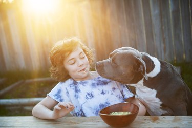boy eating ramen noodles with pit bull