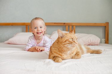 A little cute girl sits on the bed with a fat ginger cat, strokes and plays with him