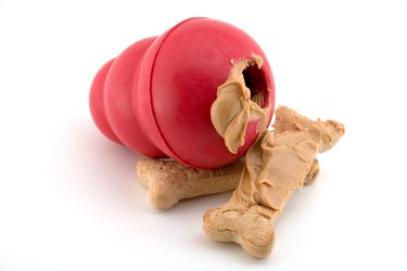 ULTIMATE Kong Bundle - Kong Dog Toy Classic Bundled with Kong Easy Treat  (Peanut Butter Flavor)