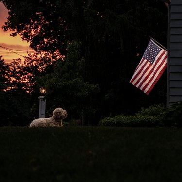 Patriotic Sunset