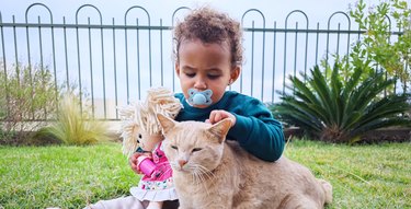 Child baby playing with  cat and doll.