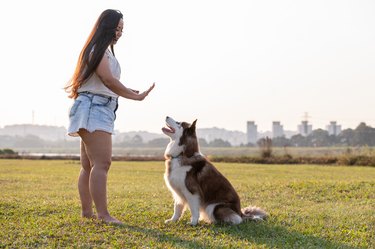 Woman teaching a dog how to stay on cue while at a park