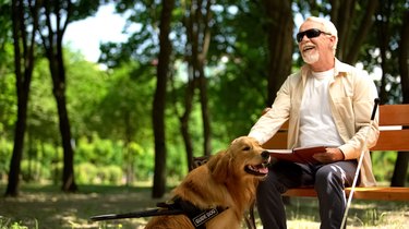 Cheerful blind man holding braille book and petting assistance dog, enjoying life.