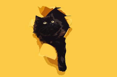 Black cat walking through ripped yellow paper