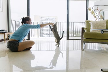 Woman sitting on floor playing with cat, side view