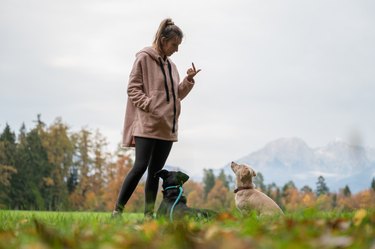 Female dog trainer training her two dogs