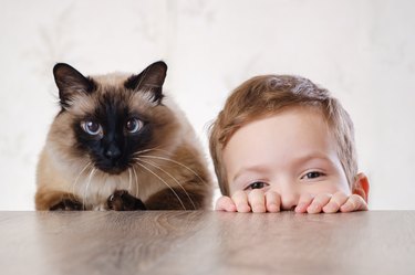 A child and a dark colored cat peeking over the edge of a table