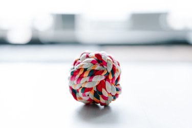 Close-Up Of Dog Multi Colored Ball On Floor