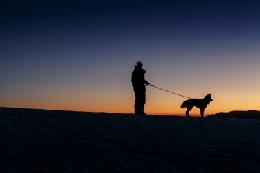 man walking dog against sunset