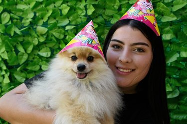 woman and small dog wearing birthday party hats