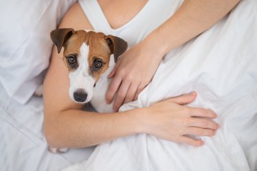 Midsection Of Woman With Dog