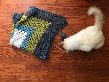 White Ragdoll Cat Sniffing a Crochet Blanket Project