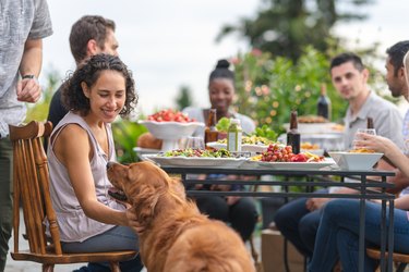 A group of people and a dog eating at a table outside