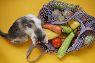 Cute colored kitten,gray bag string bag with vegetables,zucchini,bell peppers,carrots,beets,onions yellow background.Harvest from garden fresh bright vegetables.Concept zero waste.Top view.Flat lay