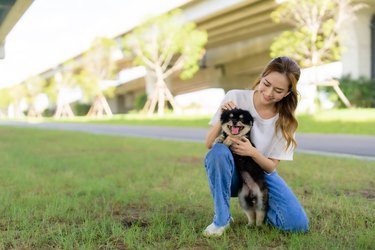 Happy young asian woman playing and sitting on grass in the park with her dog. Pet lover concept